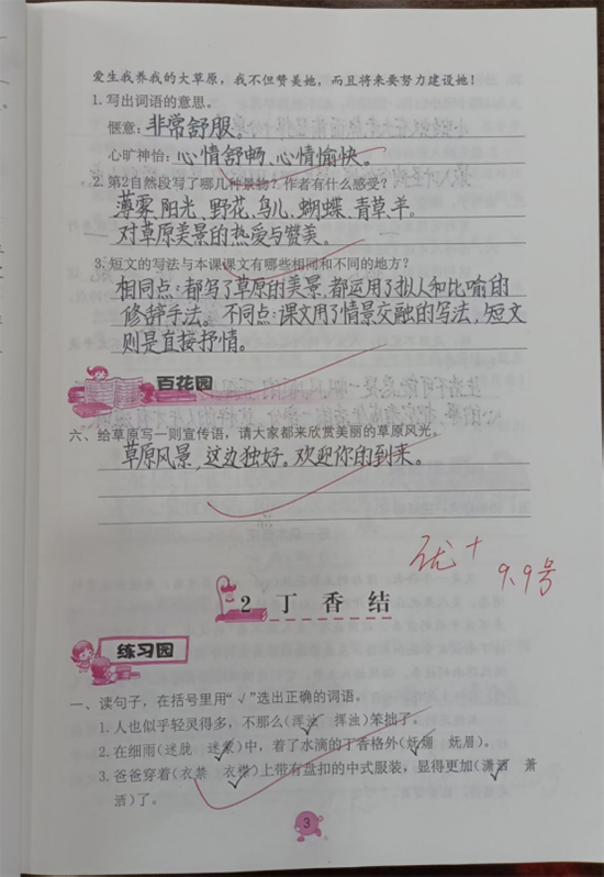 精耕细“作”  “业”精于勤——民权县育才小学教学常规检查